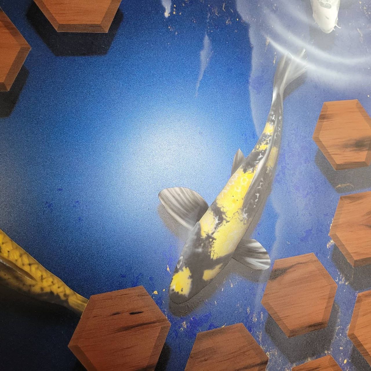 Airbrushed Painting of Koi Fish on Blue Background with gold and black scales close up